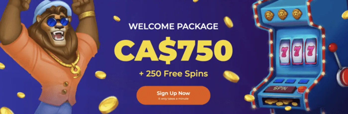 Casas de apostas bet