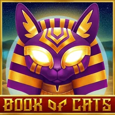 365 bets app